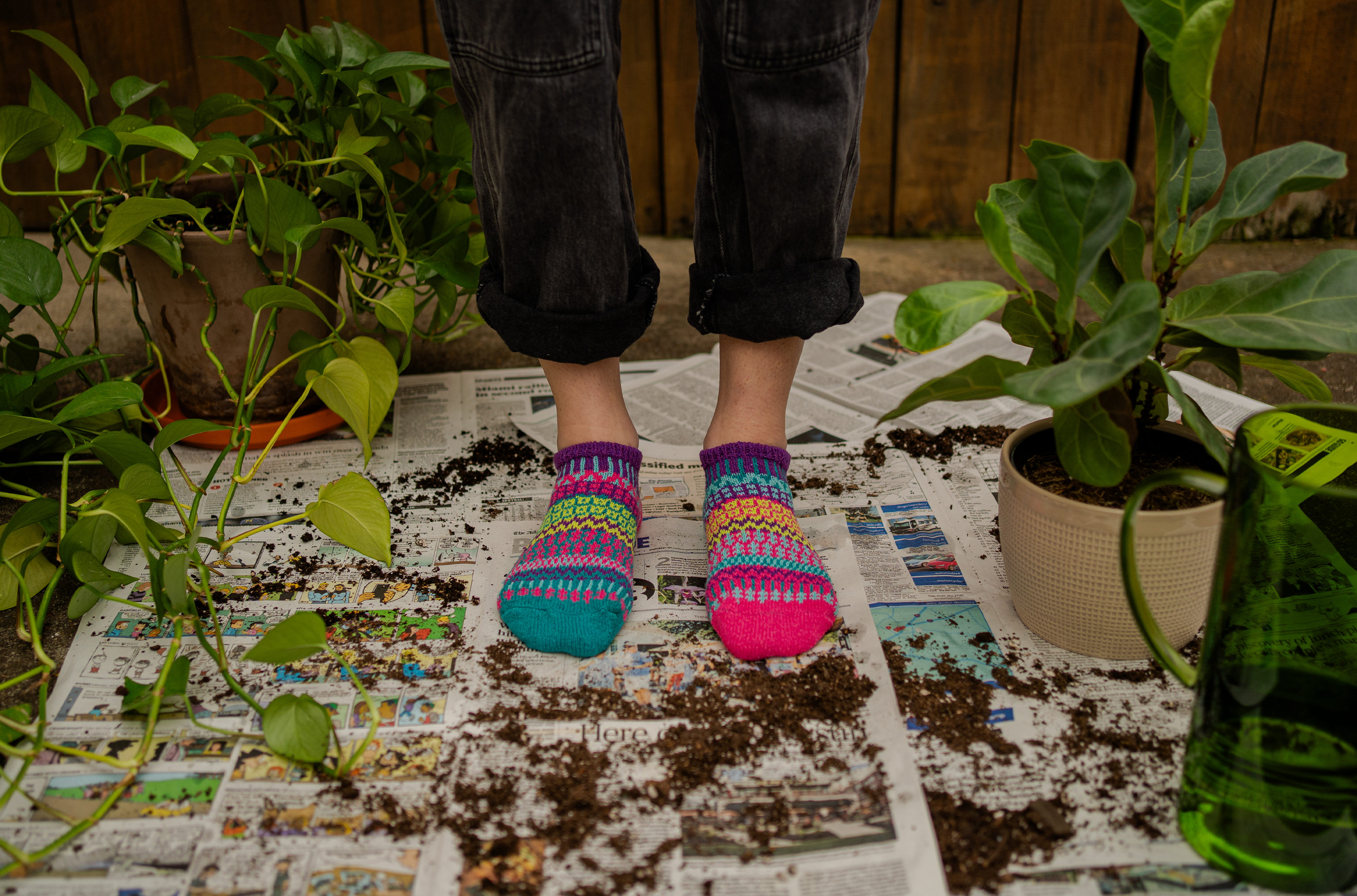 Morning Glory Ankle Socks